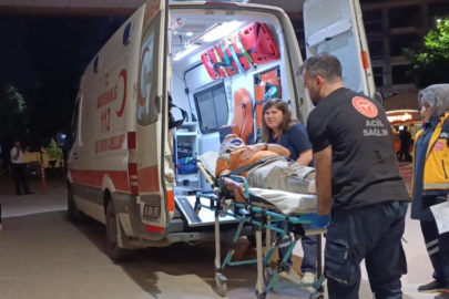 Erik toplamak için çıktığı ağaçtan düşerek yaralandı