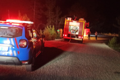 Şarampole yuvarlanan otomobil orman yangınına neden oldu