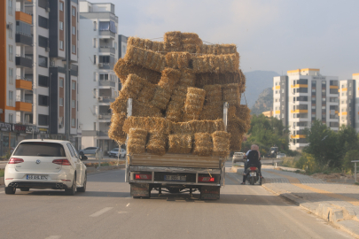 Aşırı saman yüklü pikabın trafikteki tehlikeli yolcuğu