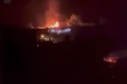 Bursa'da bağ evi alevlere teslim oldu
