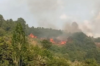 Bursa'da makilik alanda yangın