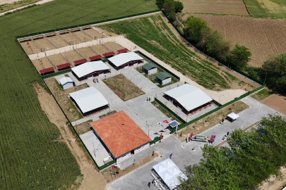 Güney Marmara'nın en modern hayvan bakım evi Yenişehir'e açıldı