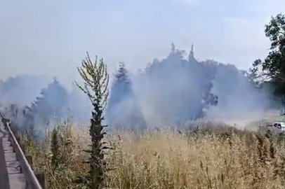 İzmir-Bursa kara yolunda alevler korkuttu