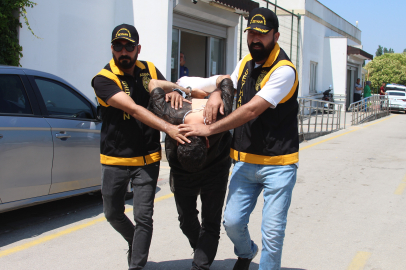 Genç kadını evinin önünde bıçakladı