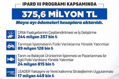 Kırsal kalkınmaya dev yatırım: Hibe ödemeleri açıklandı