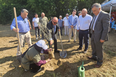 Eğitim ve tarım el ele: Bursa’da örnek zeytin projesi