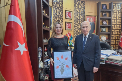 Akademisyen kardeşler Terörsüz Türkiye sürecini Avrupa'ya anlatacak