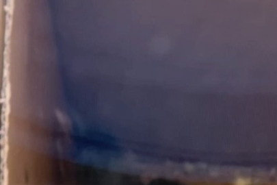 Bulduğu yavru kargalara evinde bakıyor