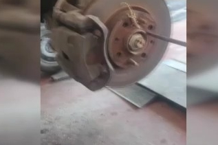 Balata değişimi sırasında tekerlekten çıkan kertenkele şaşırttı