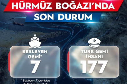 2 Türk gemisi daha Hürmüz Boğazı'nı geçti