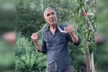 Zehirli engerek yılanını yakalayıp boynuna doladı