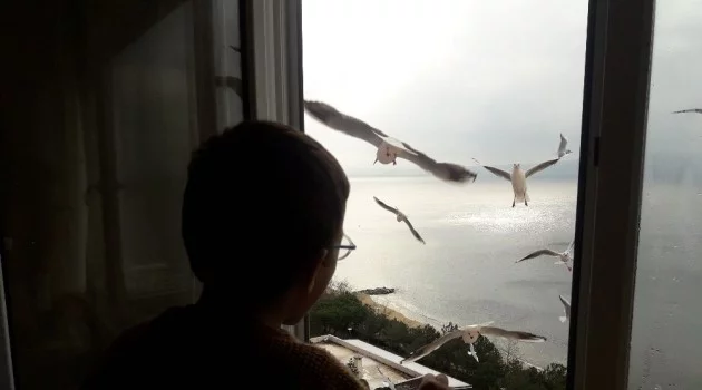 4 yaşındaki çocuk pencereden martıları eliyle besliyor