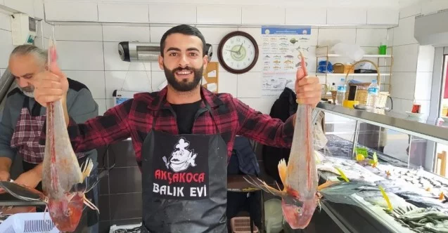 5’er kiloluk kırlangıç balıkları 500 liradan satılıyor