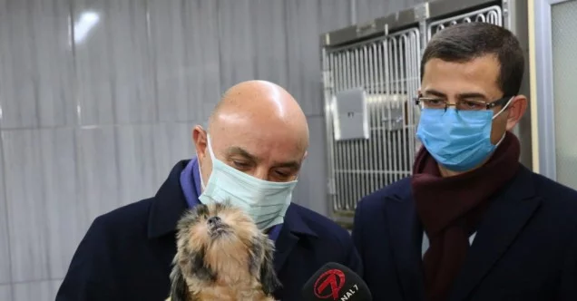 68 adet cins köpek Keçiören Belediyesi’nin korumasına alındı