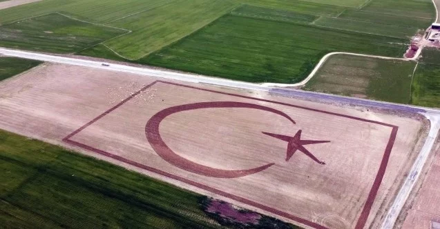 70 dönümlük tarlasına traktörüyle Türk bayrağı çizdi