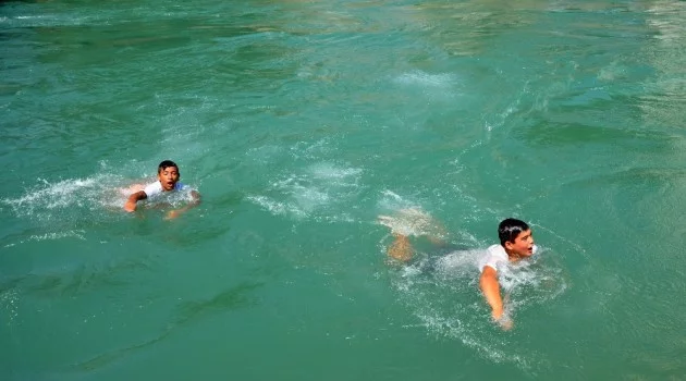 Adana’da termometreler 48 dereceyi gösterdi, köpekler göle girdi