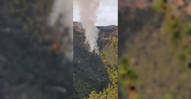 Adana’nın Saimbeyli ilçesinde orman yangını