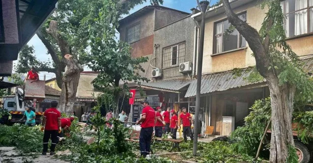 Akhisar’da fırtına etkili oldu, ağaç devrildi, çatılar uçtu