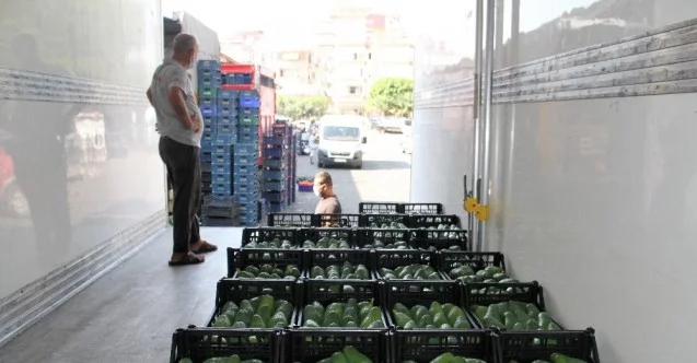 Alanya’dan Bulgaristan’a 3 ton avokado ihracatı