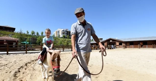 Altınköy Açık Hava Müzesi içerisinde açılan "At Çiftliği"ne yoğun ilgi