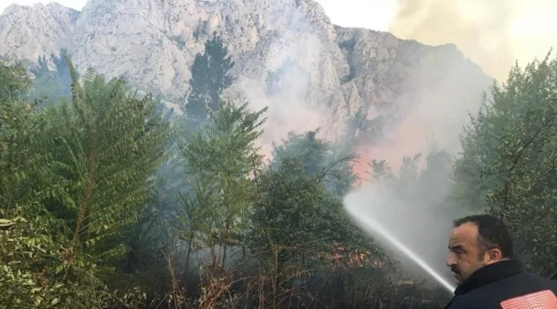 Amasya’da yangın: 5 dönüm alan zarar gördü