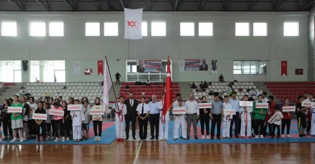 Anadolu Yıldızları Ligi karate finalleri İskenderun’da başladı