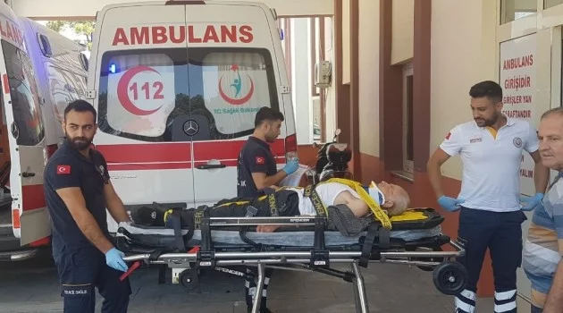 Antalya’da  erik ağacından düşen yaşlı şahıs yaralandı