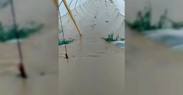 Antalya’da fırtına ve yağmur çilek seralarını vurdu