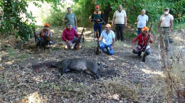 Ar-Ge bahçesine dadanan domuzlar için sürek avı
