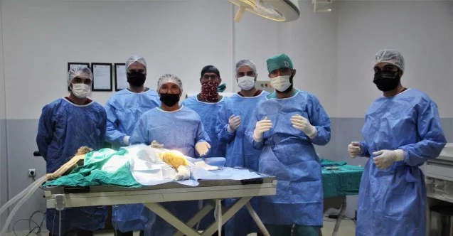 Araç çarpması sonucu bacakları kırılan yavru ayı ameliyata alındı