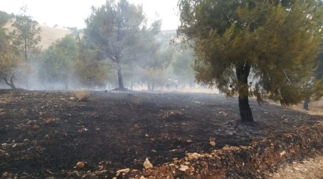 Atatürk Barajı ormanında korkutan yangın