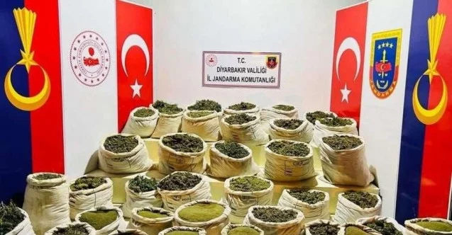 Bakan Soylu açıkladı: Diyarbakır’da milyonlarca kök uyuşturucu madde ele geçirildi