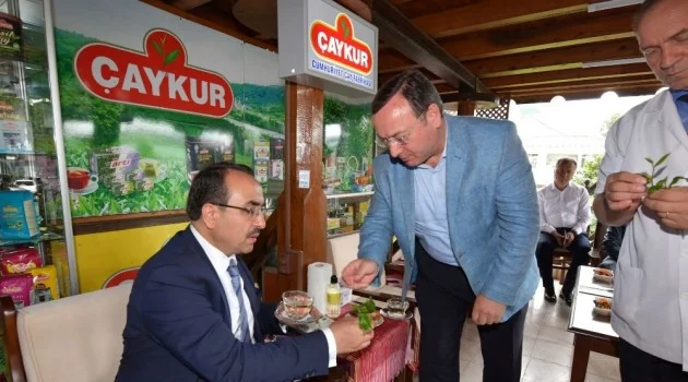 Bakan Yardımcısı Özkaldı, Çaykur çay satış ve tadım mağazasını açtı