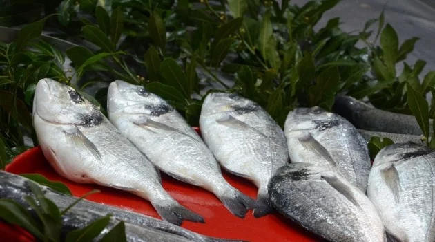 Balık piyasasında durgunluk