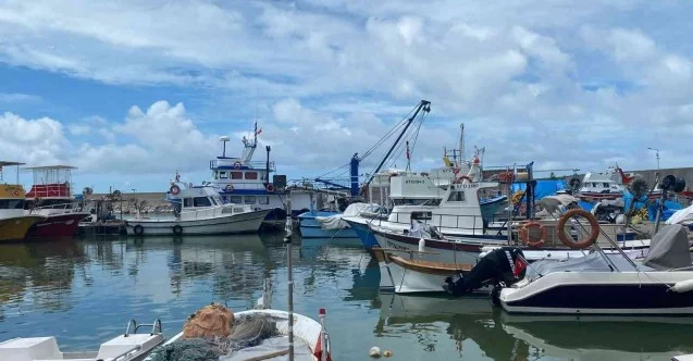 Balıkçılar yeni sezonda palamuttan umutlu
