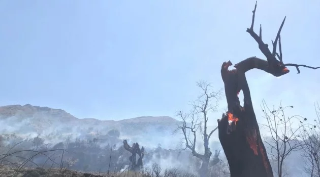 Beydağ’da korkutan orman yangını