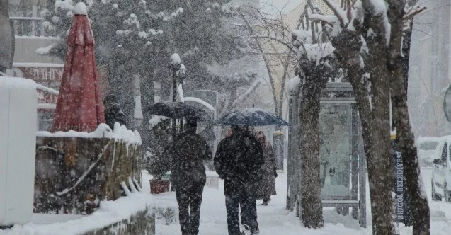 Bingöl’de kar esareti başladı, 281 köy yolu ulaşıma kapandı