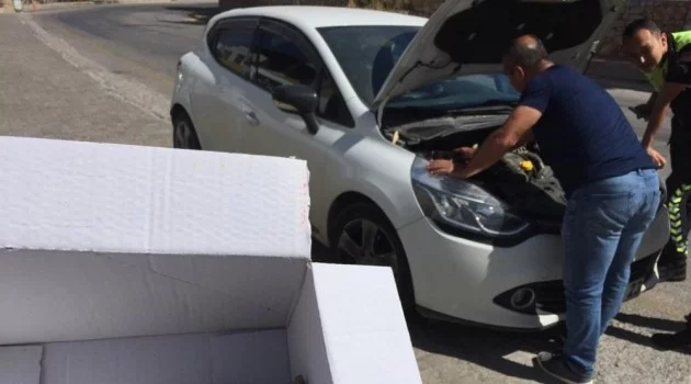 Bodrum’da durdurulan aracın kaputunu açan polisler şok oldu