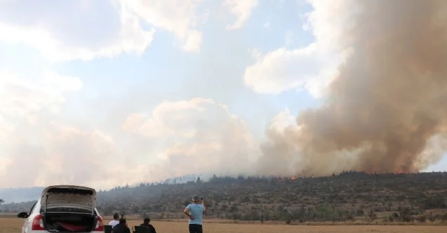 Bolu’da orman yangınına müdahale sürüyor