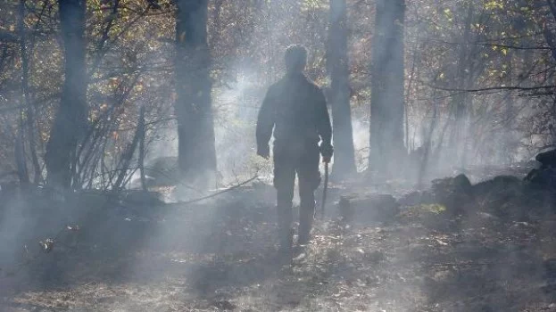 Bursa'da orman yangını...10 dönümlük alan zarar gördü