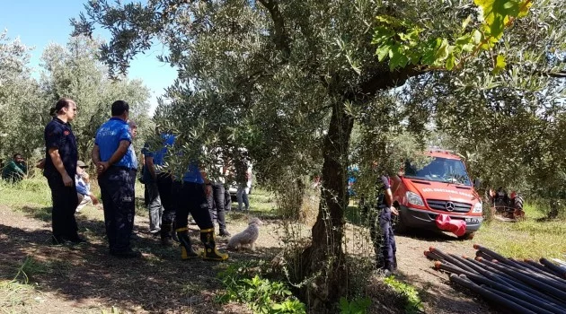 Bursa’da ayı ailesine kurtarma operasyonu