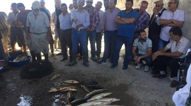 Bursa’da bu gölden çıkan balıklar müzayede ile satılıyor