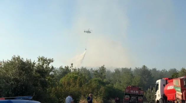 Bursa’da orman yangını! Alevler rüzgarın da etkisiyle büyüyor