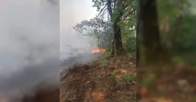 Bursa’da orman yangını paniği