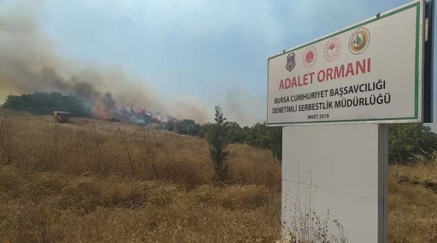 Bursa’daki çiftlik yangını Adalet Ormanı’na sıçradı