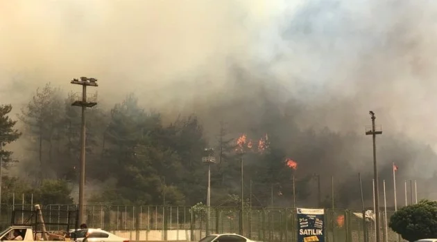 Bursa’daki yangını söndürmek için Balıkesir ve Karabük’ten helikopter, Ankara’dan uçak istendi