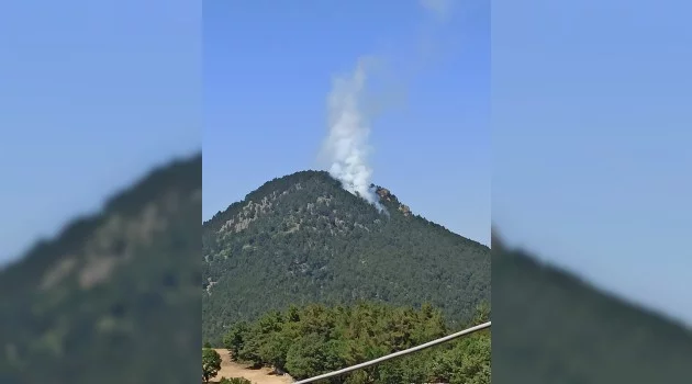 Büyükorhan'da orman yangını
