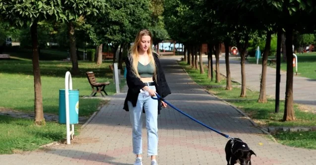 Darp edilen Ukraynalı genç kızı kurtarmak isterken bıçaklandı