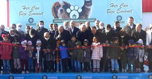 Diyarbakır ve çevresinde bulunan sokak hayvanları için 5 yıldızlı yuva açıldı