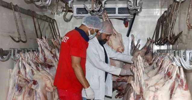 Diyarbakır’dan Kuveyt’e kuzu eti ihracatı